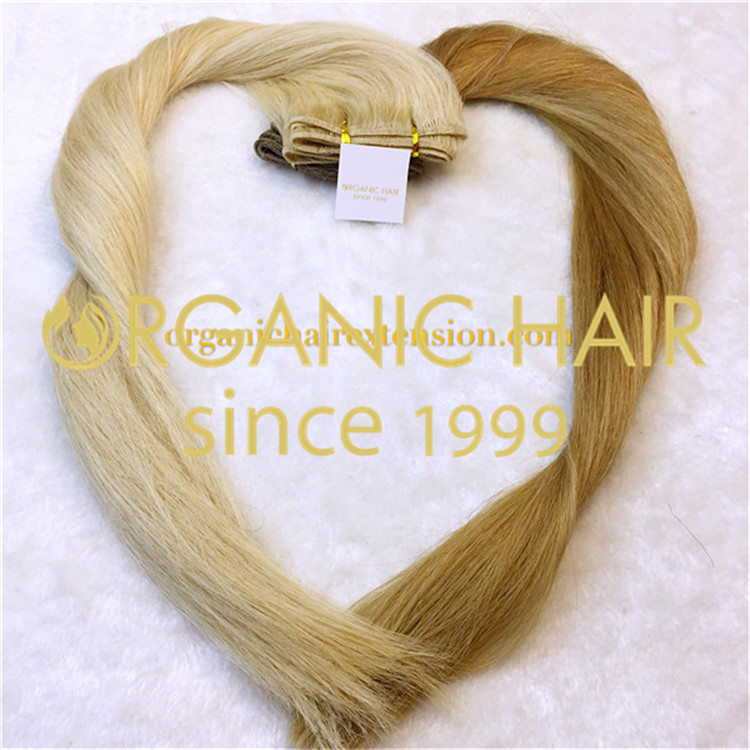 Double Wefted Hair Clip In Hair Extensions H5